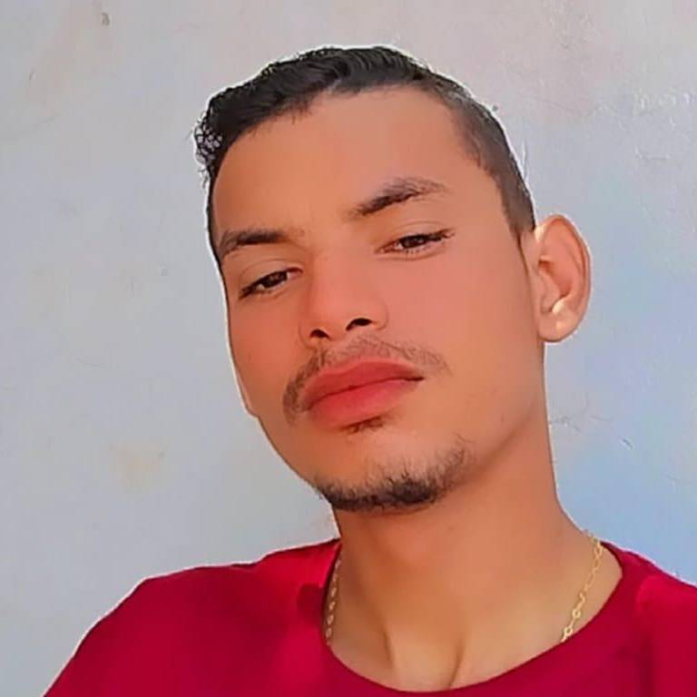 Eric Mateus Lopes Silva