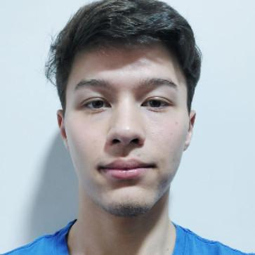 Giovanni Mateus Bressan
