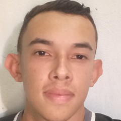 Gabriel Henrique Santos Silva