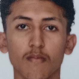 Wesley Borges da Silva